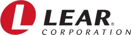 slide 11 of reviva company ppt